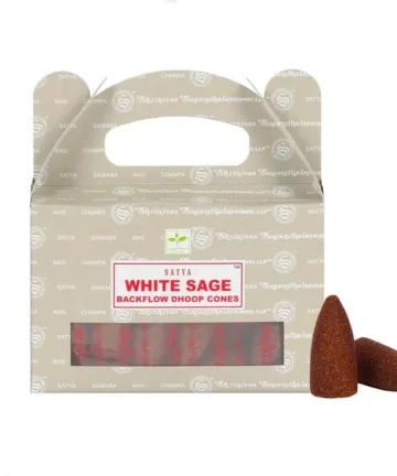 sauge blanche