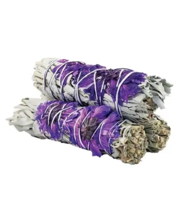 Sauge Blanche & Violette "Anti-Stress"