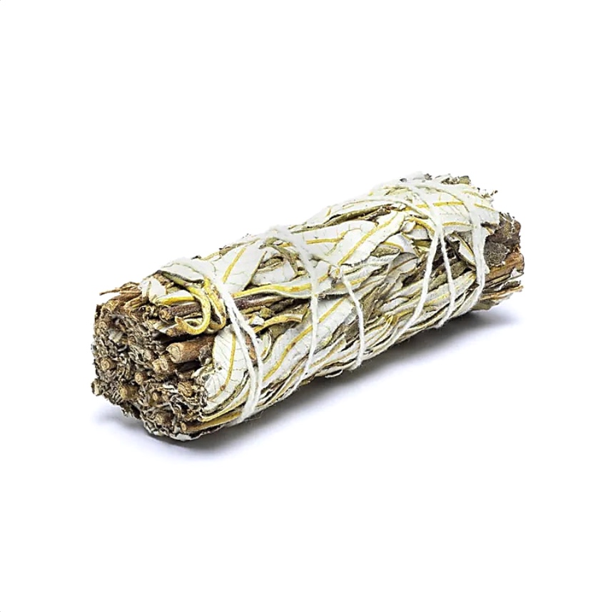 yerba santa